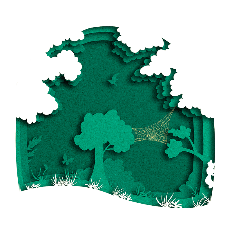 NOU Agence de communication à Lyon Illustration digitale personnalisée Style papercut / papier découpé Thématique toile d'araignée dans une forêt